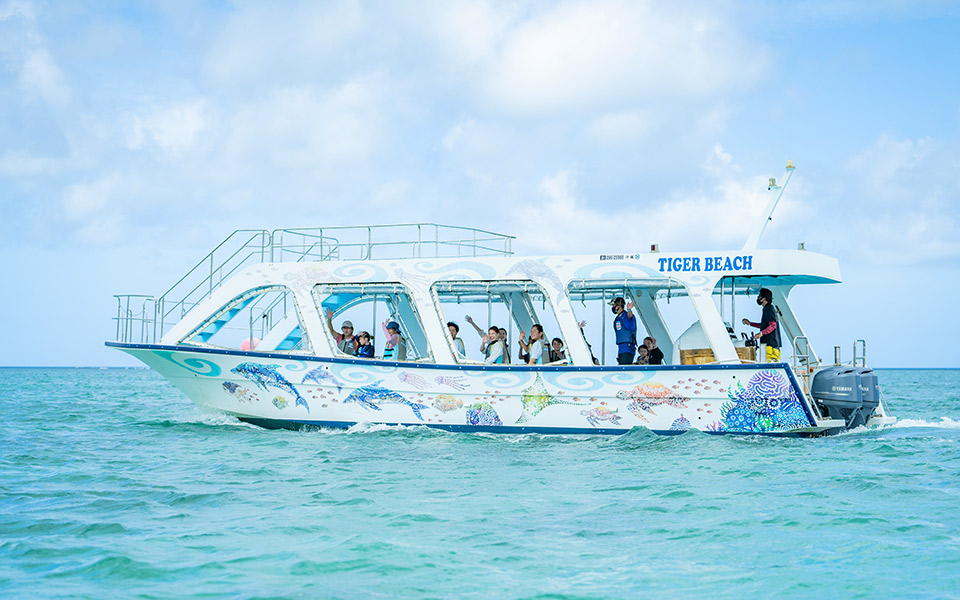 Cruise on a glass-bottomed boat.