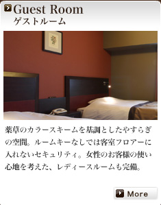 Guest Room �Q�X�g���[��