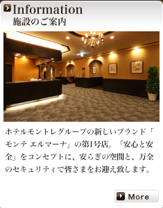 Information �{�݂̂��ē�