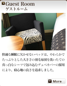 Guest Room �Q�X�g���[��