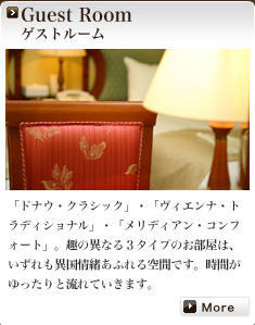 Guest Room �Q�X�g���[��