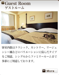 Guest Room �Q�X�g���[��