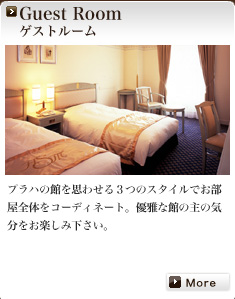 Guest Room �Q�X�g���[��