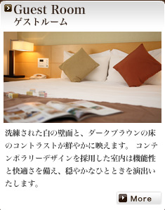 Guest Room �Q�X�g���[��