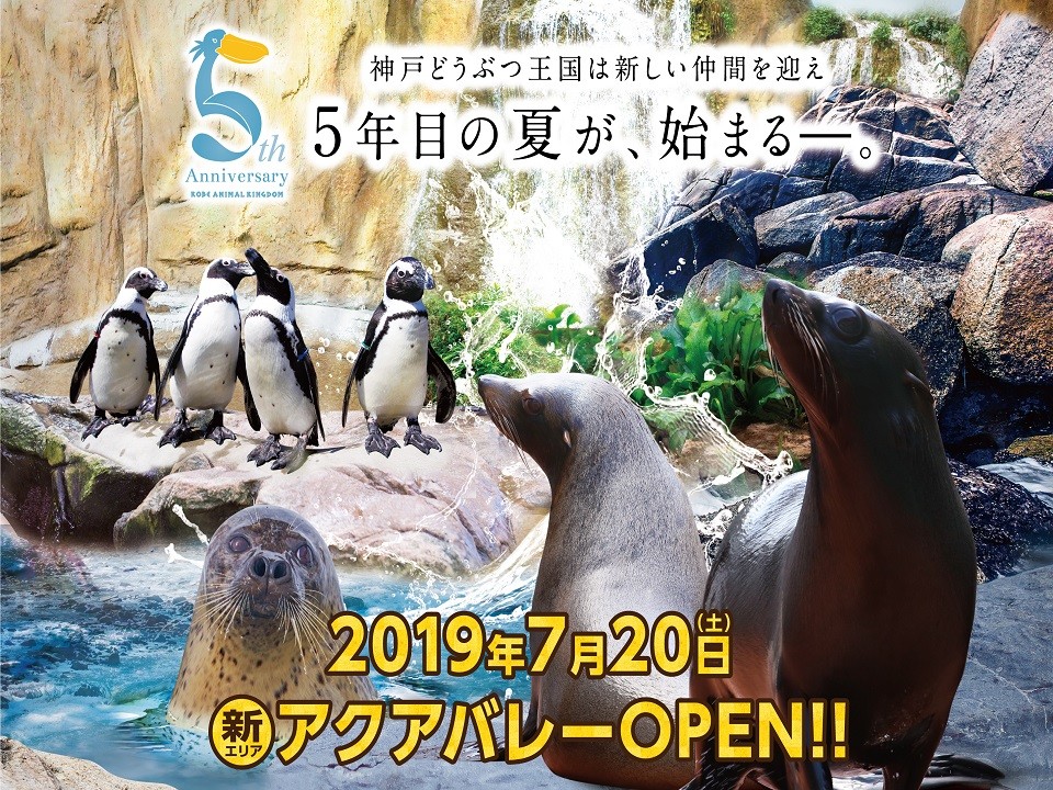 どうぶつ王国5周年