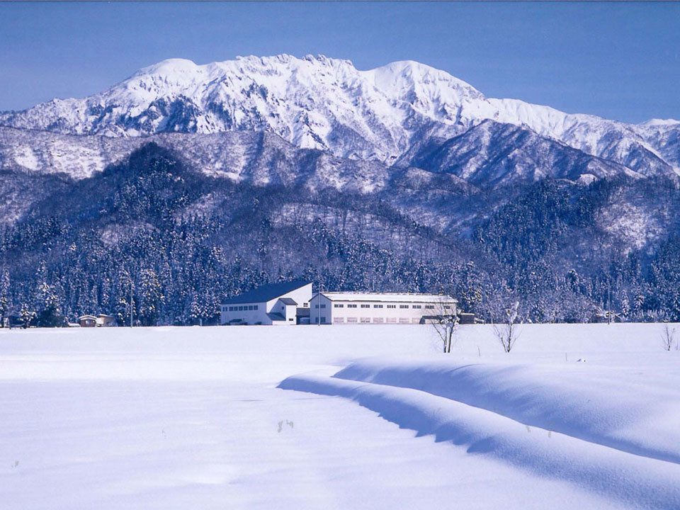 南魚沼の豊かな自然と雪国の文化が育んできたお酒を楽しみに!