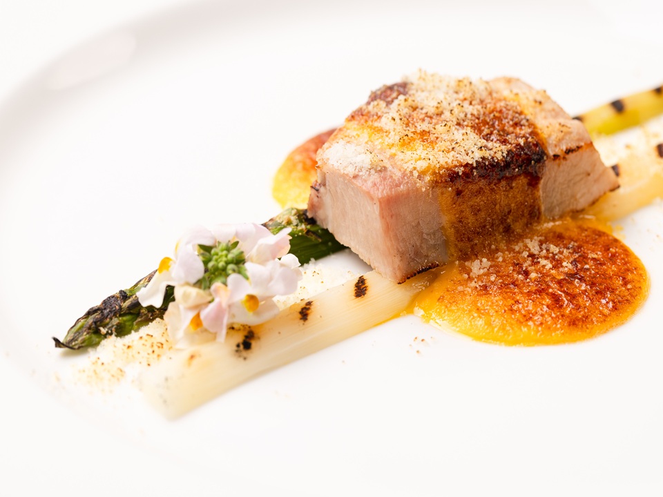 2026年度4月謝恩記念コース