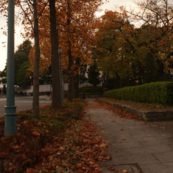 公園を右手に