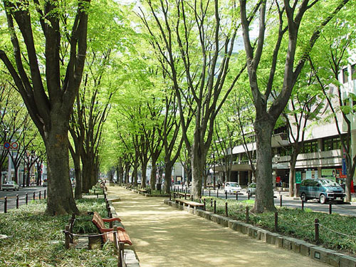 定禅寺通り