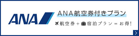 ANA航空券付きプラン