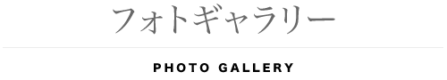 フォトギャラリー