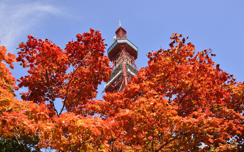 札幌観光地イメージ