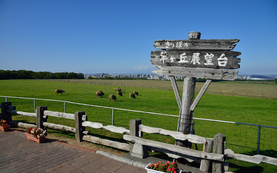 札幌観光地イメージ