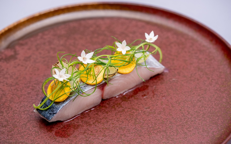 秋メニュー2　2025