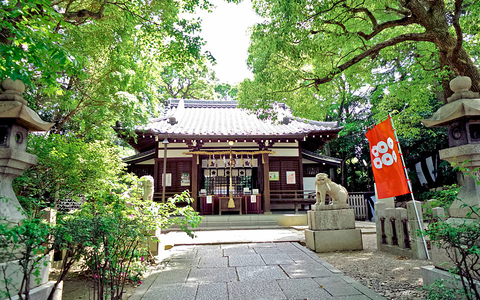 安居神社イメージ01