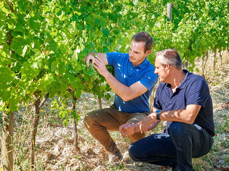 公式 期間限定14 Off 県民割クーポンで更にお得に モントレwineセレクションランチ オーガニック ロゼワイン1杯付き ホテルモントレ神戸 三ノ宮駅 三宮駅近くのホテル 神戸市