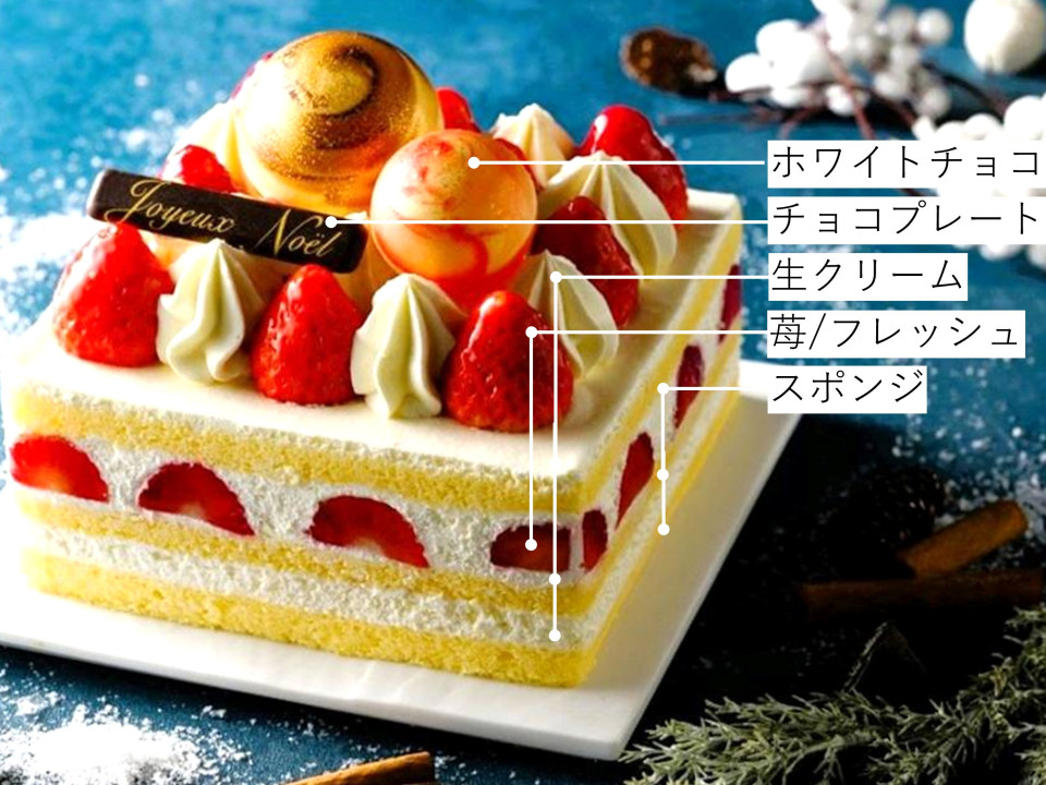 ノエル・フレーズ断面