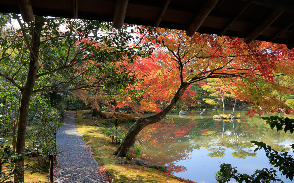 京都観光地イメージ