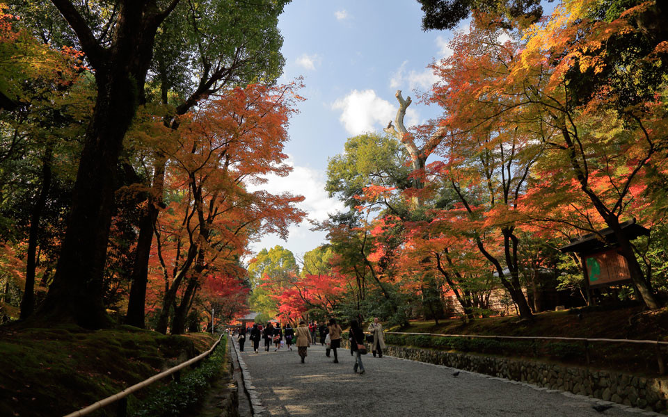 京都観光地イメージ