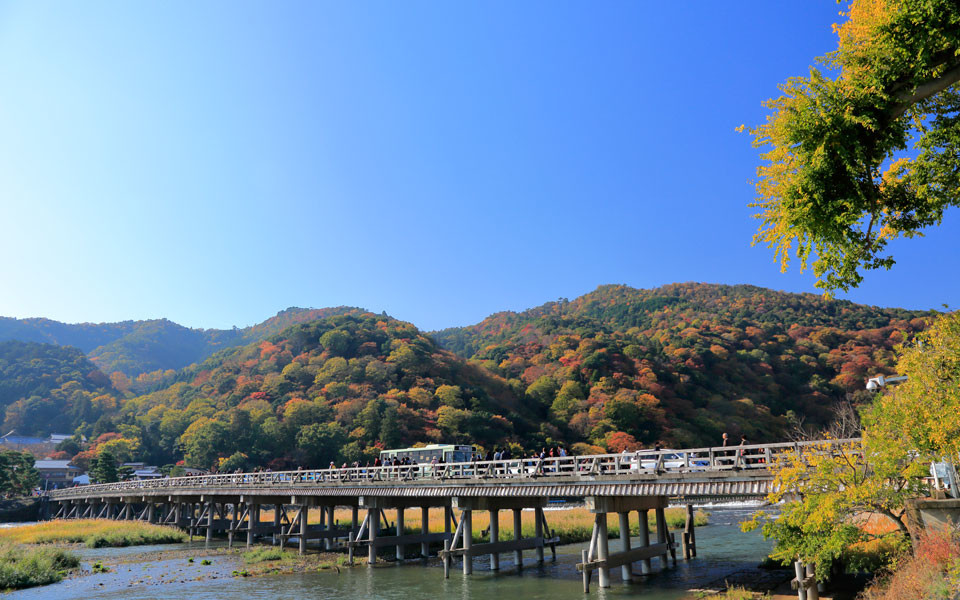 京都観光地イメージ