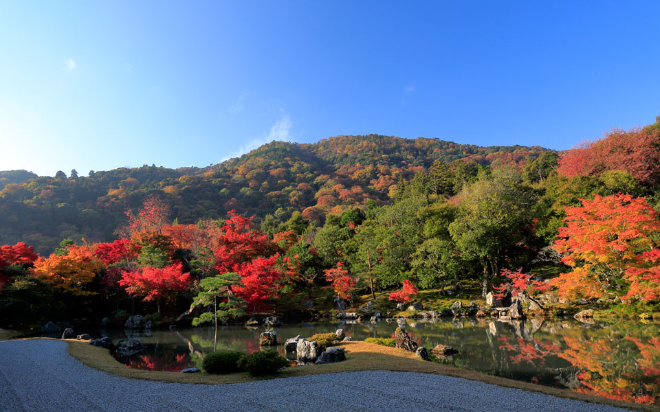 京都観光地イメージ