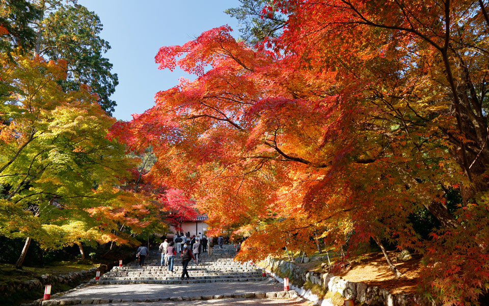 京都観光地イメージ