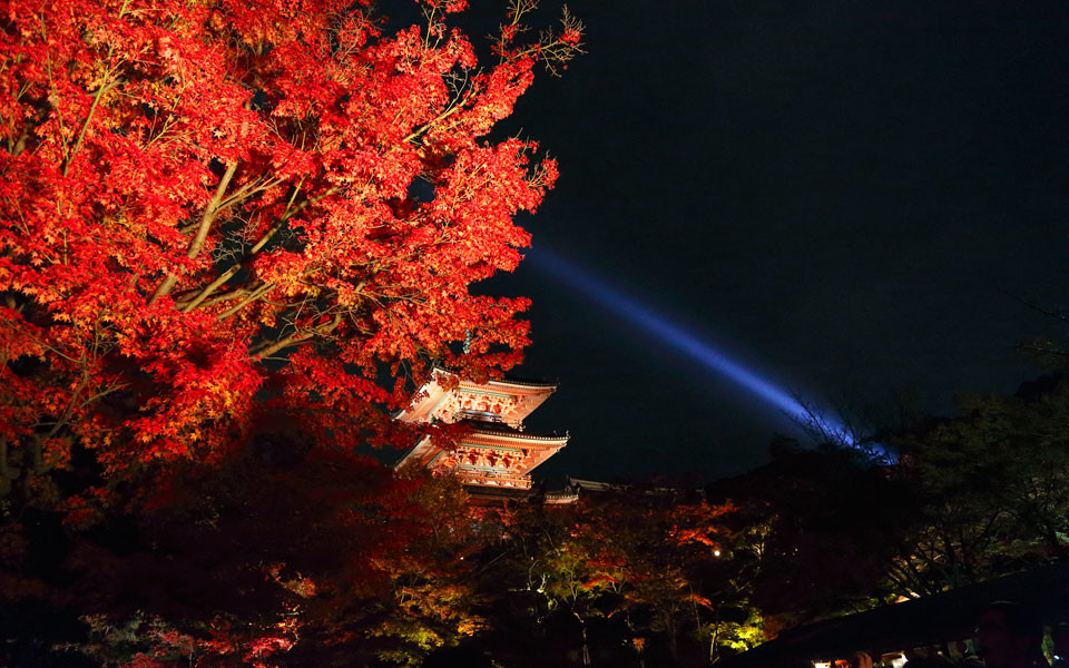 京都観光地イメージ