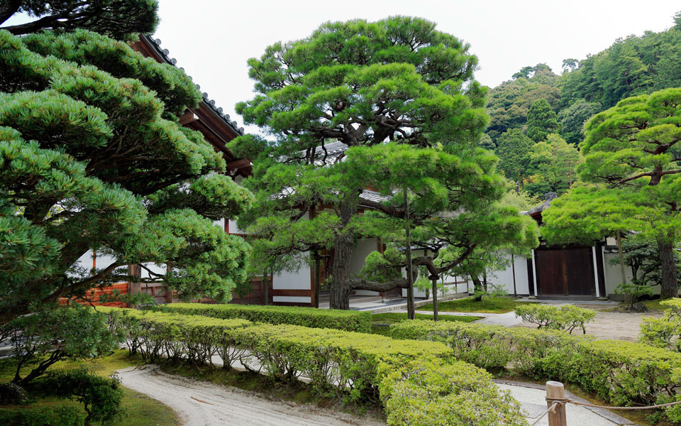 京都観光地イメージ