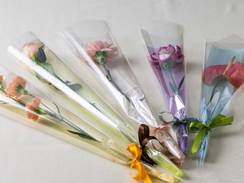 【2月・3月限定】謝恩会プラン