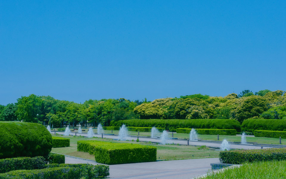 海の中道海浜公園イメージ