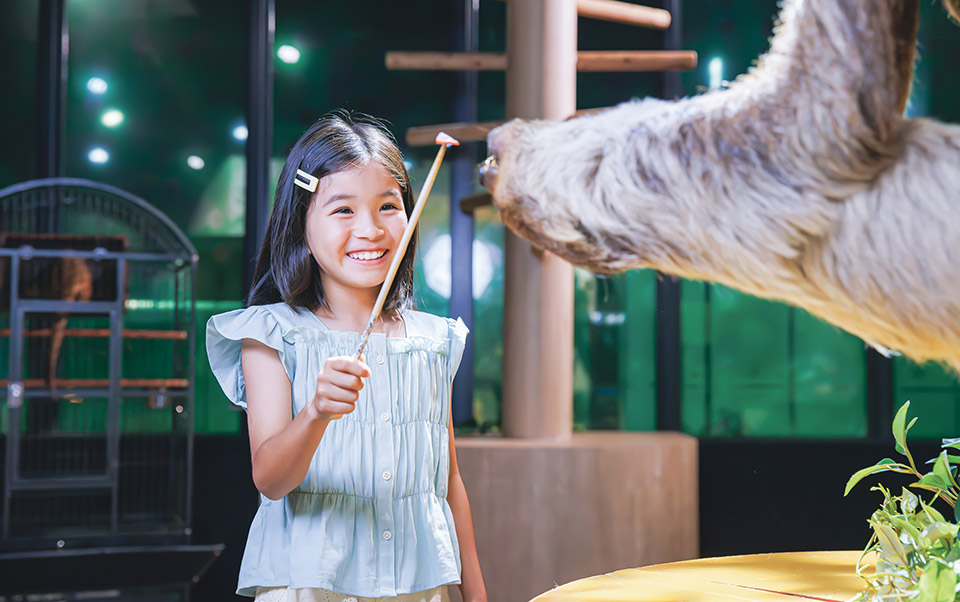 DMMかりゆし水族館03