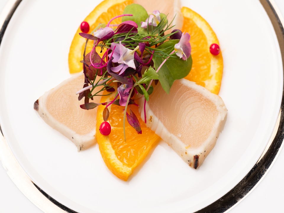 2026年度4月謝恩記念コース