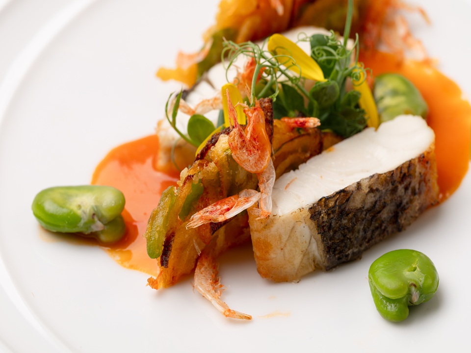 2026年度4月謝恩記念コース