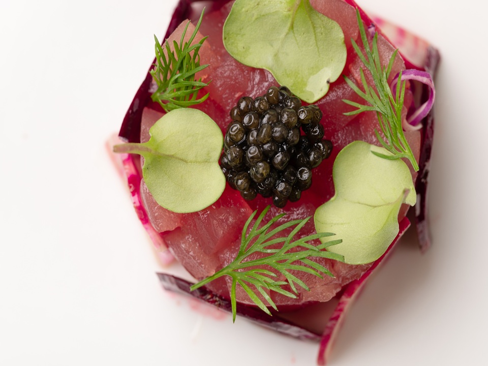 2026年度5月前菜