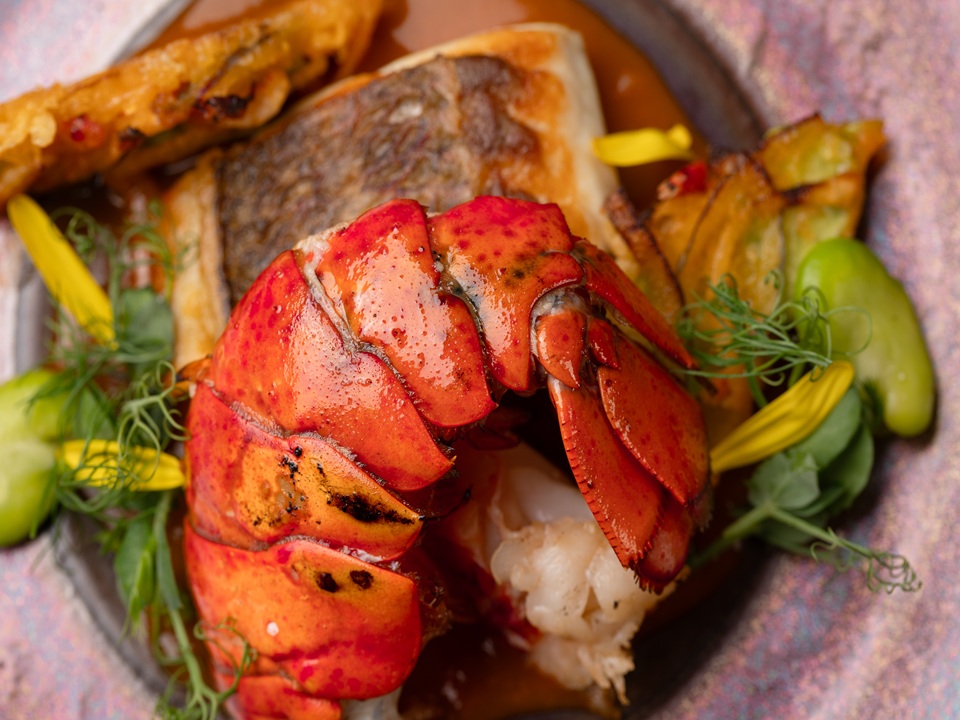 2026年度10,000コース