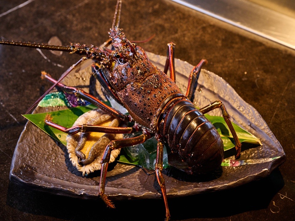 【春の門出のお祝い】卒業・入学・就職・定年退職など人生の節目を鉄板焼きでお祝い♪