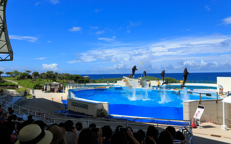 沖縄美ら海水族館