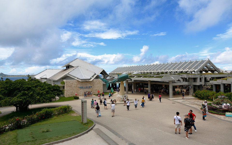 沖縄美ら海水族館