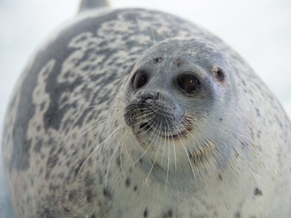 公式 デートや家族旅行にもおすすめ 海遊館入場券付きプラン 朝食選択可 ホテルモントレ大阪 梅田 大阪駅近くのホテル 大阪府大阪市 公式 デートや家族旅行にもおすすめ 海遊館入場券付きプラン 朝食選択可 ホテルモントレ大阪 梅田 大阪駅近くのホテル 大阪府大阪市