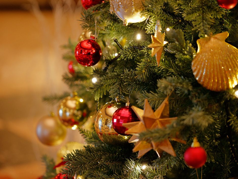 公式 アーリークリスマスディナー フォワグラ オマール海老 国産牛の贅沢ディナー サンミケーレ特製ブッシュ ド ノエルでメリークリスマス ホテルモントレ ラ スールギンザ 銀座 東京都 ホテル