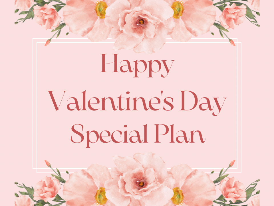 プランイメージ